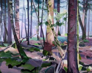Wald 23, 2017