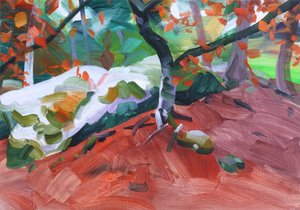 Wald 31