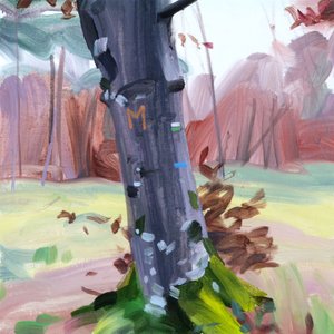 Wald 38 von Olivier Morel