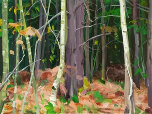 Wald 7