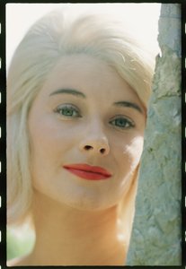 Hope Lange Nahaufnahme von Orlando Suero