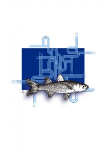 Blauer Geometrischer Fisch