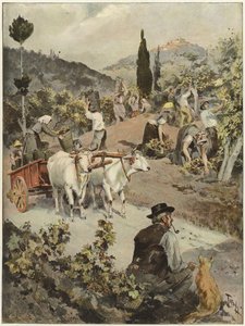 Die Weinlesezeit in Italien von Oswaldo Tofani