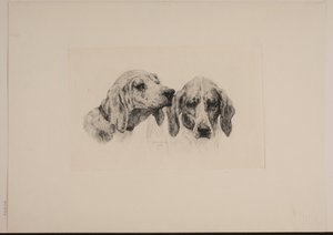 Zwei Hundeköpfe