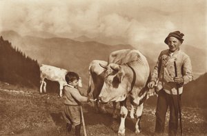 Auf der Alm