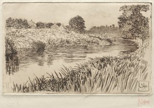 Am Bronx, 1906
