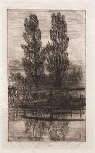Pappeln, Königlicher Garten, Schleissheim, 1879 von Otto H. Bacher