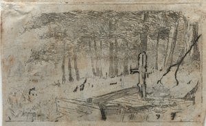 Kleine Baumstudie