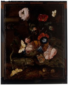 Waldstillleben von Otto Marseus  van Schrieck