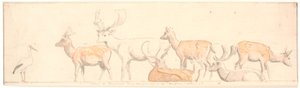 Eine Gruppe Hirsche und ein Storch von P.C. Skovgaard