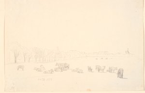 Kühe auf der Weide, im Hintergrund Tagens Mühle