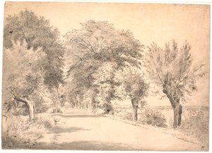 Die Landstraße bei dem Gutshof Vognserup von P.C. Skovgaard