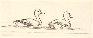 Zwei Enten. Dekorativer Entwurf. von P.C. Skovgaard