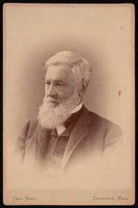 Porträt von Asa Gray von Pach Bros
