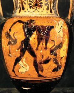 Herkules kämpft gegen die Stymphalischen Vögel von Painter Diosphos