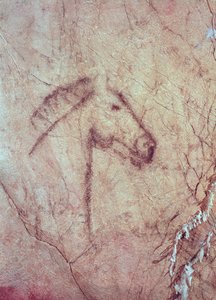 Kopf eines Pferdes, aus der Cueva de la Pena de Candamo San Roman (Höhlenmalerei)