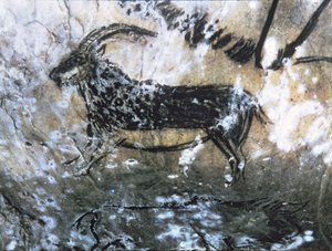 Ziege oder Gämse, Felsmalerei im Schwarzen Raum, Magdalénien (Höhlenmalerei)