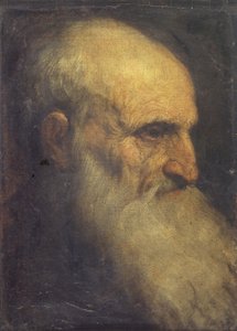 Kopf eines Mannes (Vorderseite), ca. 1588-90 von Palma Il Giovane
