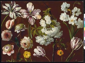 Lila Tulpen, weiße blühende Prunus, Narzissen und rosa Chrysantheme