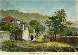 Eine Straße in Roseau, Dominica, ca. 1880