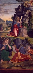 Jesus im Garten von Paolo Morando Cavazzola