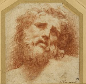 Ein bärtiger Kopf, der nach oben schaut (möglicherweise Laokoon) von Parmigianino