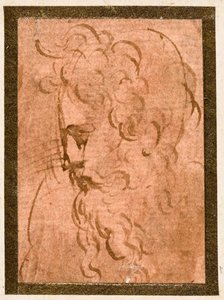 Männlicher Kopf von Parmigianino