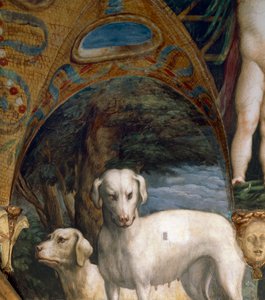 Paar Hunde (Detail)