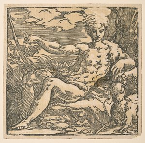 Johannes der Täufer in der Wildnis von Parmigianino