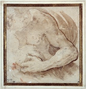 Studie des linken Arms, der Brust und des Kopfes eines bärtigen Mannes