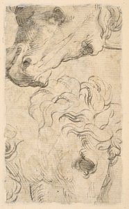 Zwei Studien von Pferdeköpfen (Fragment) von Parmigianino