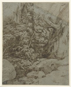Studie einer Landschaft