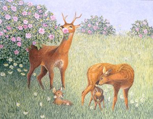 Hirschfamilie
