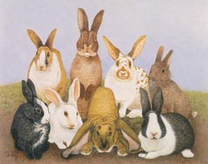 Glückliche Kaninchen von Pat Scott