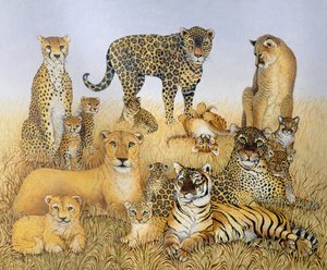 Die großen Katzen