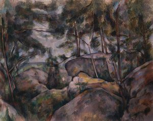Felsen im Wald
