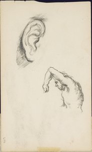 Studien nach Luca Signorelli: ein Ohr und eine Figur eines Mannes