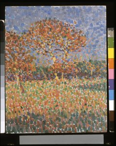 Landschaft