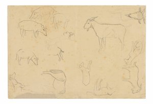 Skizzen verschiedener Tiere und Kopf (recto), Skizzen eines Kopfes, Figur im Profil, anatomische Details und Tiere (verso) von Paul Gauguin