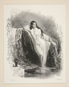 Liebe für Liebe von Paul Gavarni
