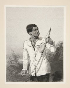 Der Bobre von der Insel Mauritius von Paul Gavarni
