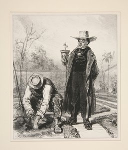 Meine Libanonzeder von Paul Gavarni
