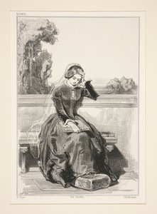 Rose De Tannebourg
