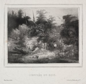 Landschaften: Der Eingang eines Waldes