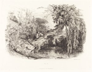 Der Wilderer