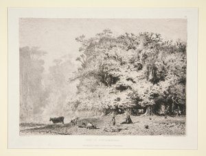 Wälder bei Fontainebleau