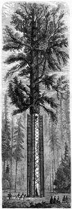 Yosemite-Nationalpark, Kalifornien, 19. Jahrhundert