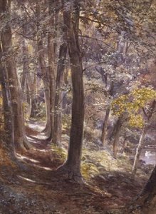 Eine Waldlichtung von Paul Jacob Naftel