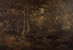 Durch den Wald, Pont-y-Gytyn, Nordwales von Paul Jacob Naftel