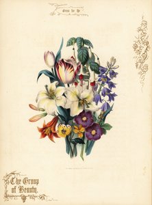 Blumenstrauß aus Lilien, Tulpe, Fuchsie, Tigerlilie